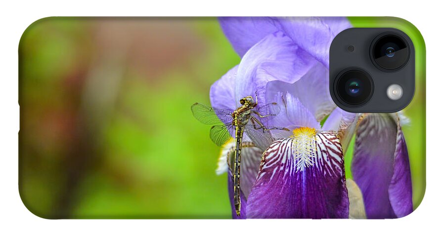 Iris Germanica iPhone 14 Case featuring the photograph Iris and the Dragonfly 5 by Jai Johnson