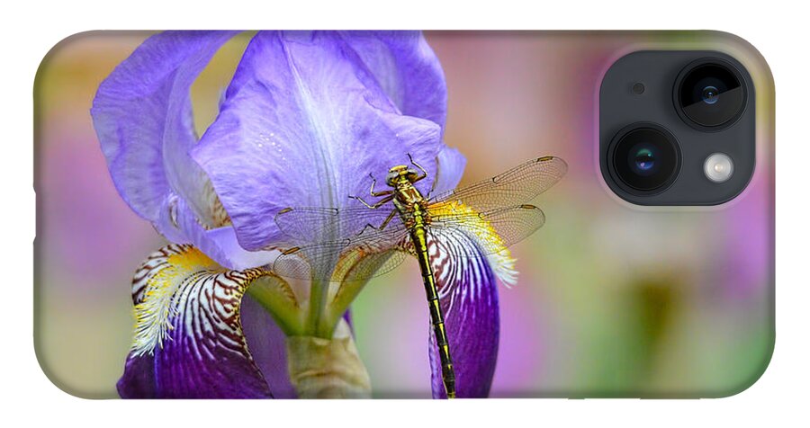 Iris Germanica iPhone 14 Case featuring the photograph Iris and the Dragonfly 6 by Jai Johnson
