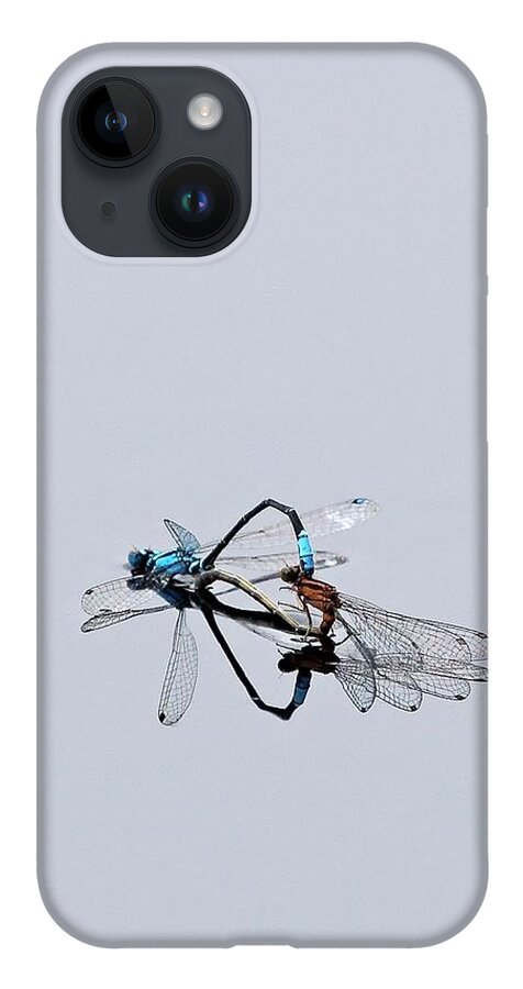 Ischnura Kellicotti iPhone Case featuring the photograph It Must Be Love by Jeff Sinon