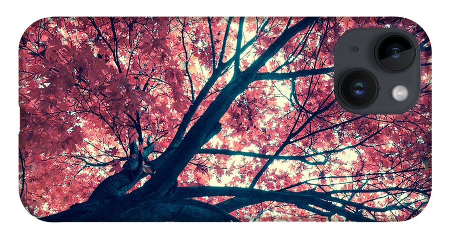 Autumn iPhone Case featuring the photograph Japanese Maple - Vintage by Hannes Cmarits