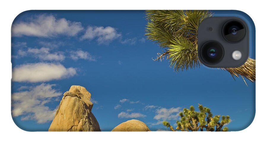 00559180 iPhone 14 Case featuring the photograph Joshua Tree Rocks And Sky by Yva Momatiuk John Eastcott
