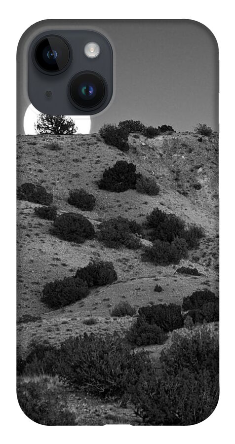 Juniper iPhone Case featuring the photograph Juniper at Moonrise by Mary Lee Dereske