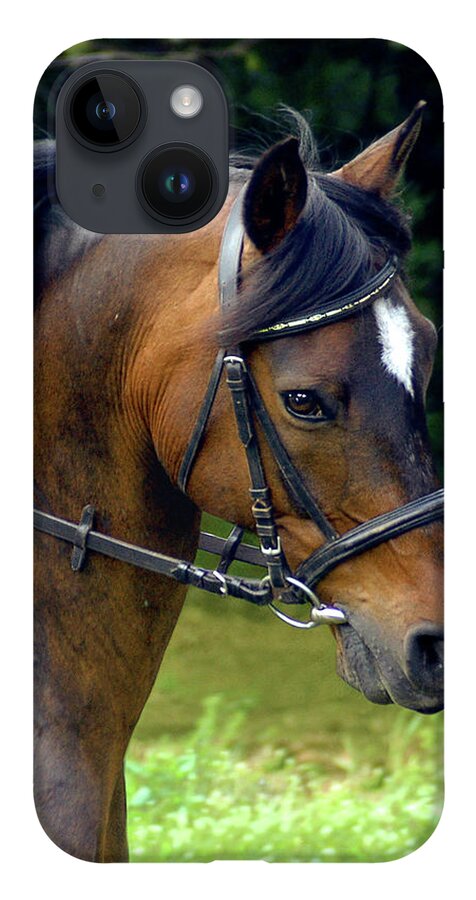 Horse iPhone 14 Case featuring the photograph Kind Eye Willing Heart by Jill Westbrook