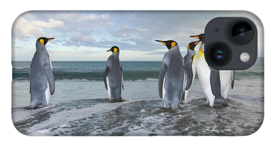 00345357 iPhone 14 Case featuring the photograph King Penguin In The Surf by Yva Momatiuk John Eastcott