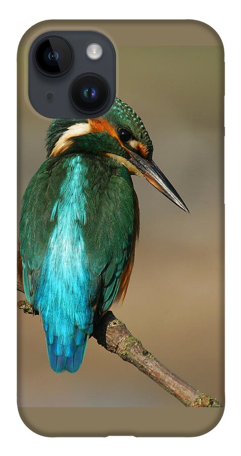 Kingfisher iPhone 14 Case featuring the photograph Kingfisher1 by Tony Mills