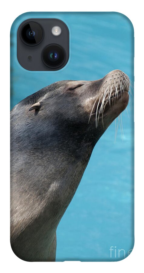 Photography iPhone 14 Case featuring the photograph Kiss Me by Jackie Farnsworth