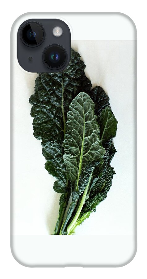 Lacinato Kale iPhone 14 Case