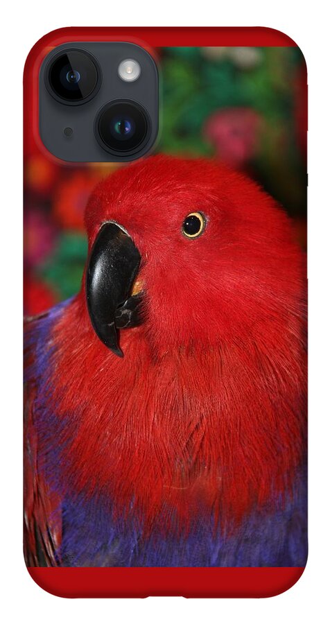 Eclectus iPhone Case featuring the photograph Lady in Red - Portrait of Eclectus Parrot Victoria by Andrea Lazar