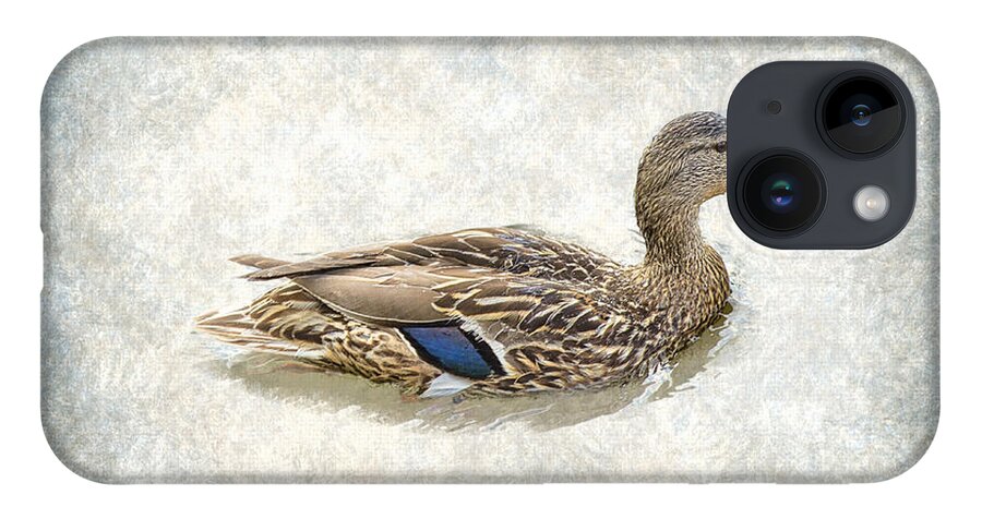 Duck iPhone 14 Case featuring the photograph Lady Mallard Blues by Bill and Linda Tiepelman