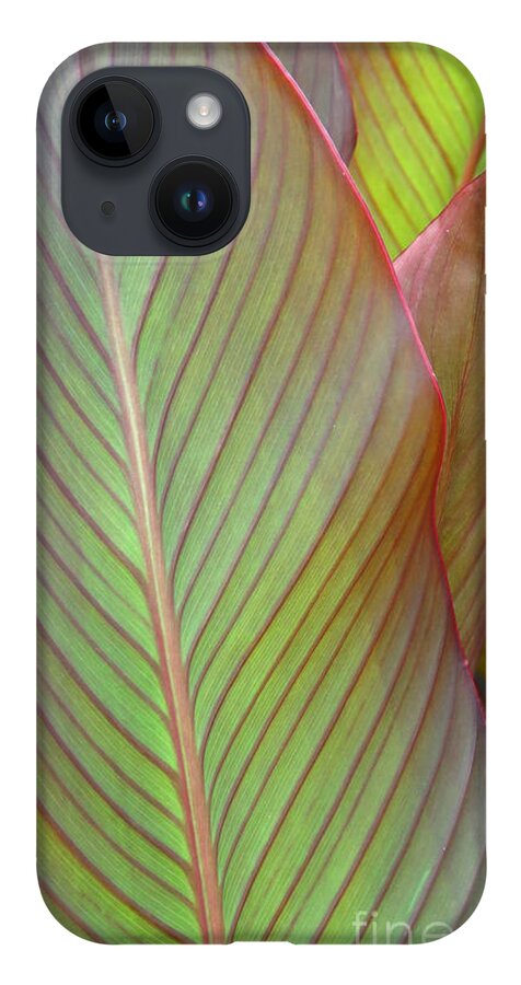 Leaf iPhone 14 Case featuring the photograph Leaf by Anita Adams