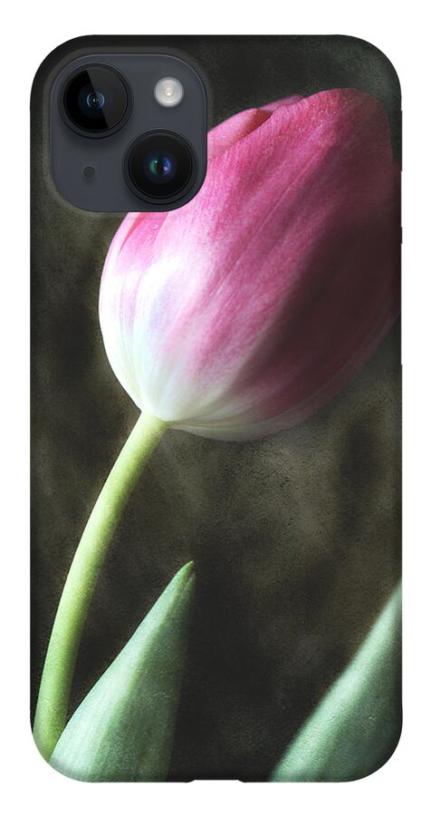 Pink Tulip iPhone 14 Case featuring the photograph Leaning Towards Spring by Michael Eingle