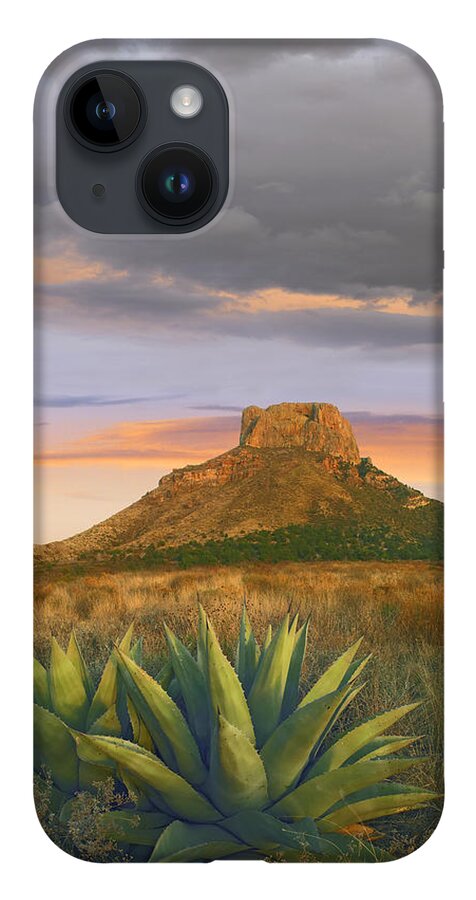 Feb0514 iPhone 14 Case featuring the photograph Lechuguilla Agave And Casa Grande Big by Tim Fitzharris