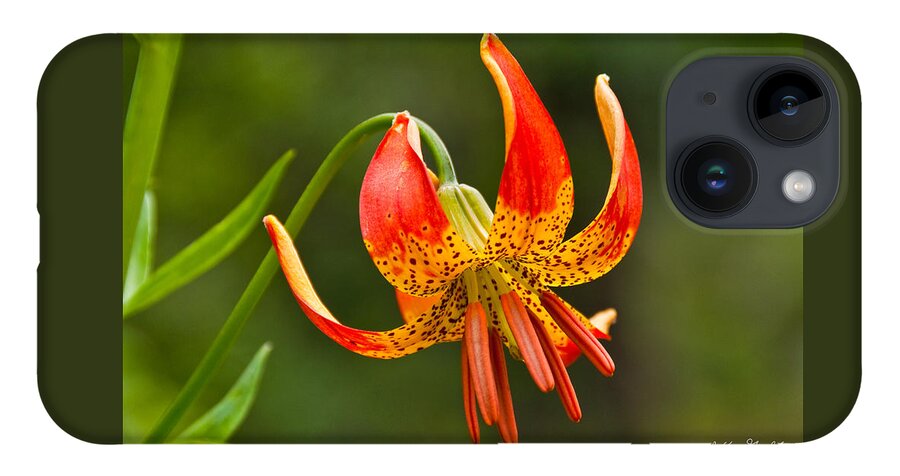 Beauty In Nature iPhone 14 Case featuring the photograph Leopard Lily in Bloom by Jeff Goulden