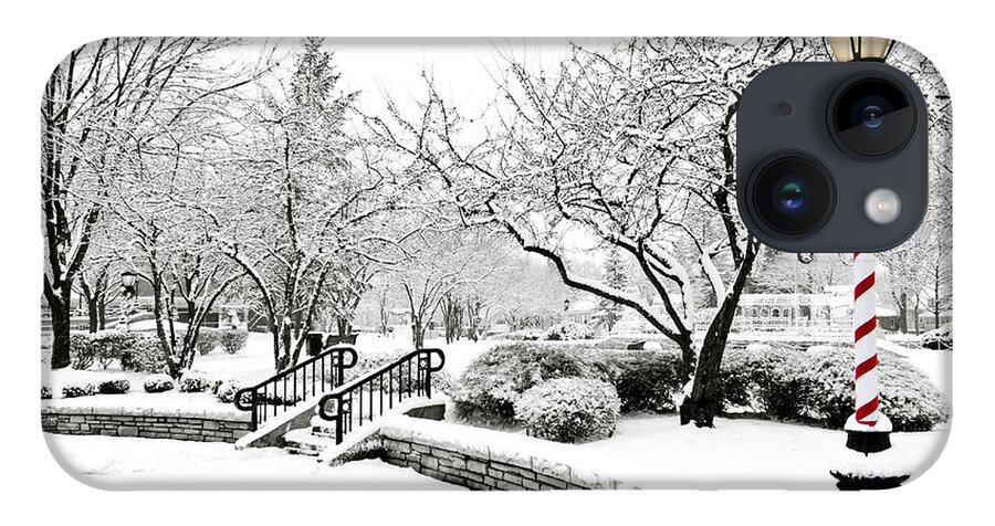 Winter iPhone Case featuring the photograph Light in Winter by Patty Colabuono