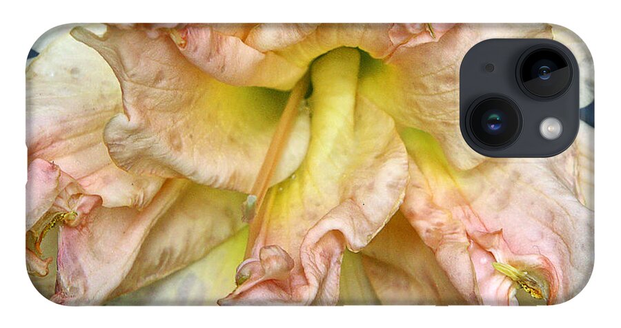 Lily iPhone Case featuring the photograph Lily 2 by M Kathleen Warren