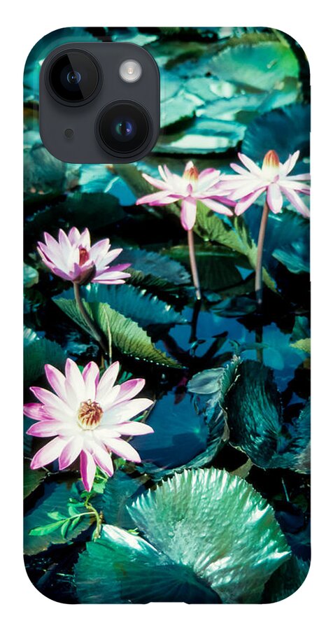 Water Lily iPhone 14 Case featuring the photograph Lily by Randy Sylvia