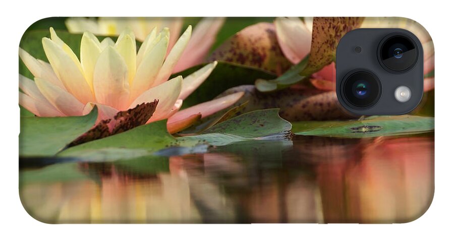 Water Lily iPhone Case featuring the photograph Lily Reflections 1 by Leda Robertson