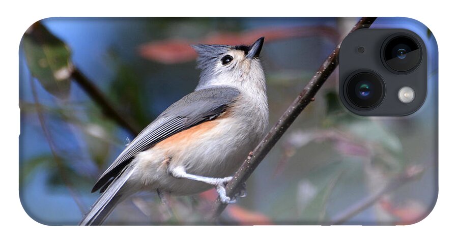 Birds iPhone 14 Case featuring the photograph Little Tufted Titmouse by Kathy Baccari