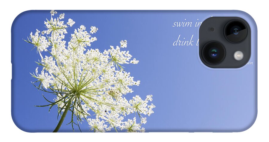 Queen Anne's Lace iPhone Case featuring the photograph Live in the Sunshine by Patty Colabuono