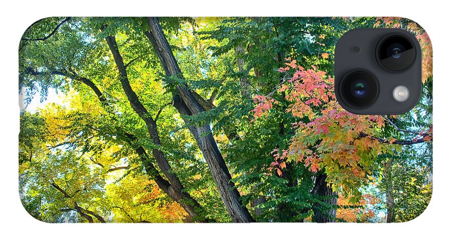Autumn iPhone 14 Case featuring the photograph Local Fall Foliage by James BO Insogna