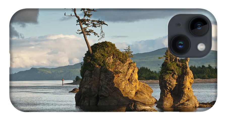 Bay iPhone Case featuring the photograph Lone Tree on a Rock at Sunset by Jeff Goulden