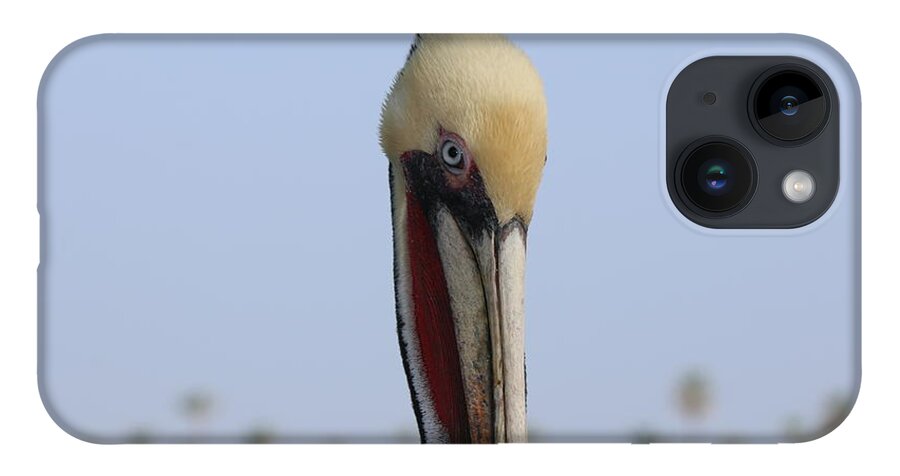 Wild iPhone 14 Case featuring the photograph Look Into My Eye by Christy Pooschke