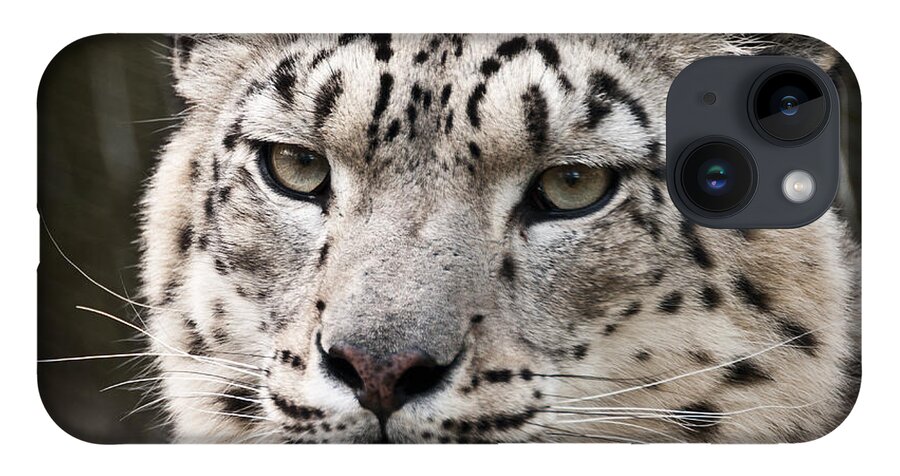 Marwell iPhone 14 Case featuring the photograph Look into my leopard eyes by Chris Boulton