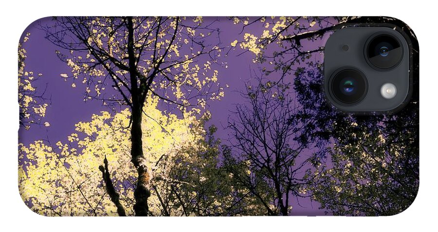 Trees iPhone 14 Case featuring the photograph Lost in Admiration by Laureen Murtha Menzl