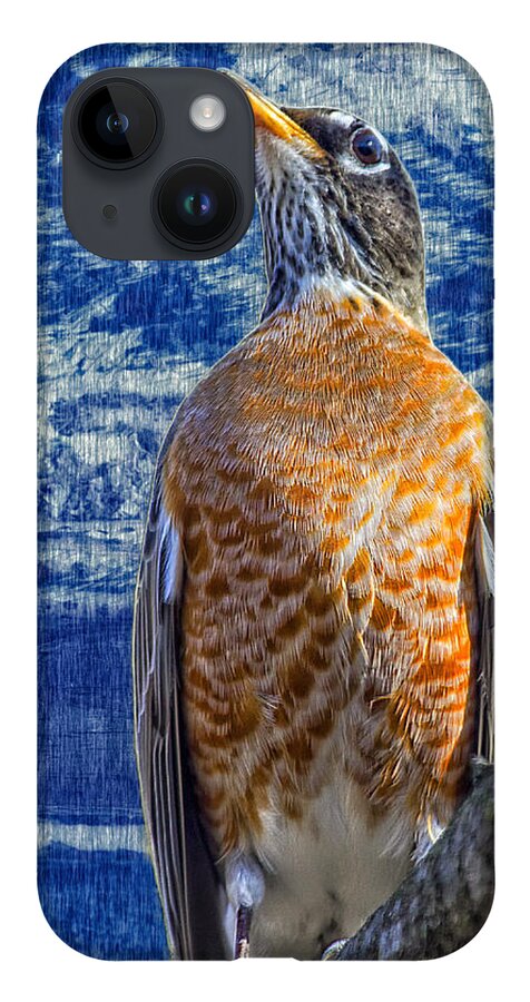 Robin iPhone Case featuring the photograph Majestic Robin Blues by Bill and Linda Tiepelman