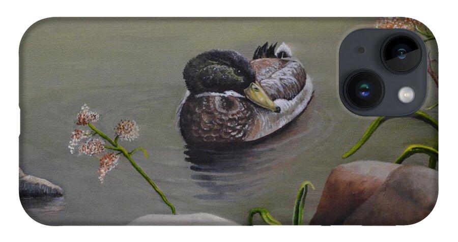 A Mallard Duck Resting In A Quiet Pond With Rocks And Green Plants. iPhone 14 Case featuring the painting Mallard Duck Pond by Martin Schmidt