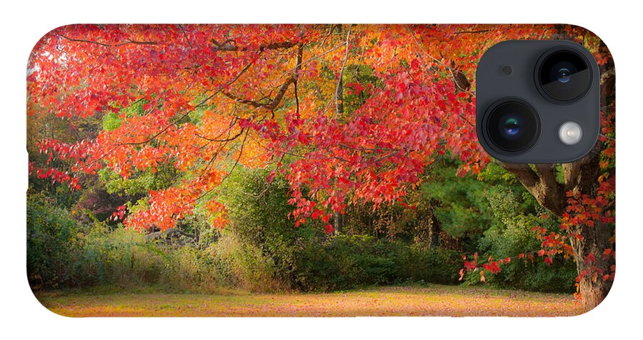 Rhode Island Fall Foliage iPhone 14 Case featuring the photograph Maple In Red And Orange by Jeff Folger