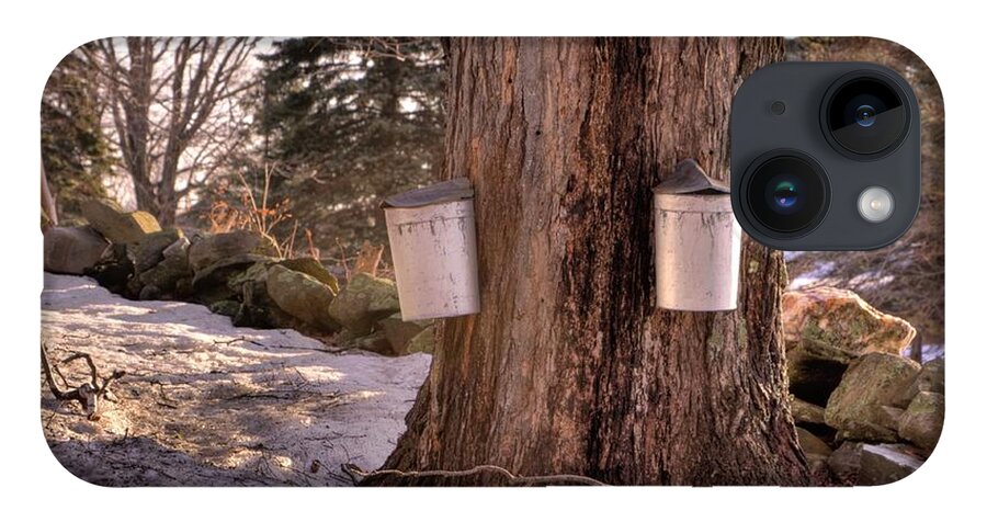 Maple Tree iPhone 14 Case featuring the photograph Maple Syrup Buckets by Tom Singleton