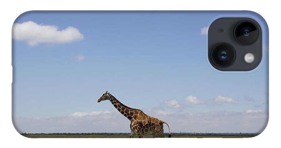 Hiroya Minakuchi iPhone Case featuring the photograph Masai Giraffe On Savanna Masai Mara by Hiroya Minakuchi