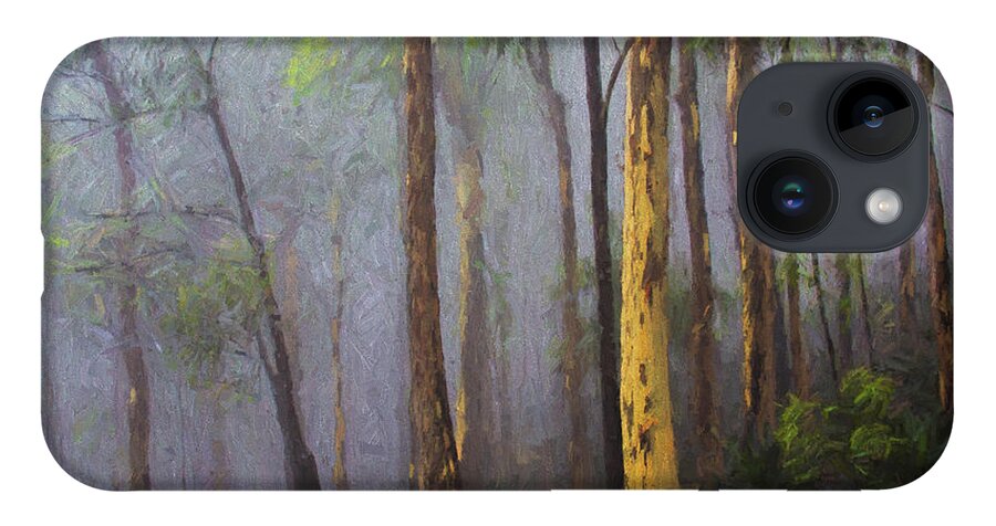 Mist iPhone Case featuring the photograph Mist in forest by Sheila Smart Fine Art Photography