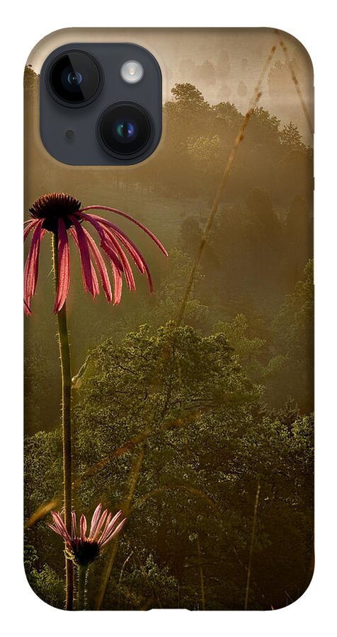 2010 iPhone 14 Case featuring the photograph Mist on the Glade by Robert Charity