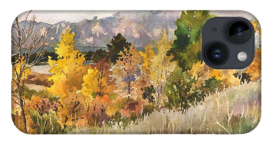 Cloud Painting iPhone Case featuring the painting Misty Fall Day by Anne Gifford