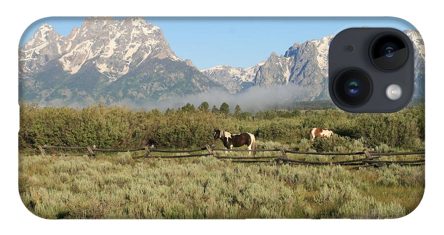 Grand Tetons iPhone 14 Case featuring the photograph Misty Morning by Natural Focal Point Photography