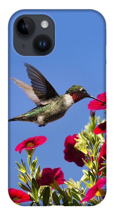 Hummingbird iPhone 14 Case featuring the photograph Moments of Joy by Christina Rollo