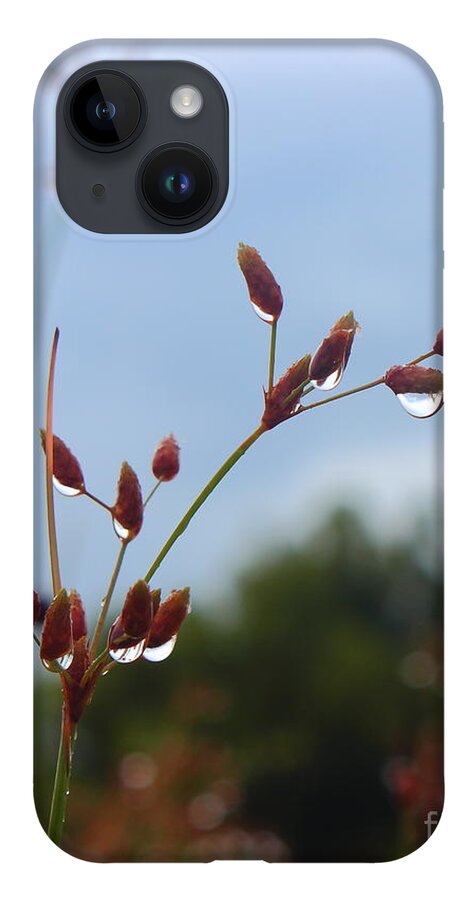 Water iPhone 14 Case featuring the photograph Morning Dew by Andre Turner
