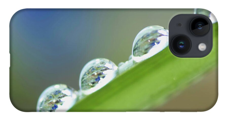 Drop iPhone Case featuring the photograph Morning dew drops by Heiko Koehrer-Wagner