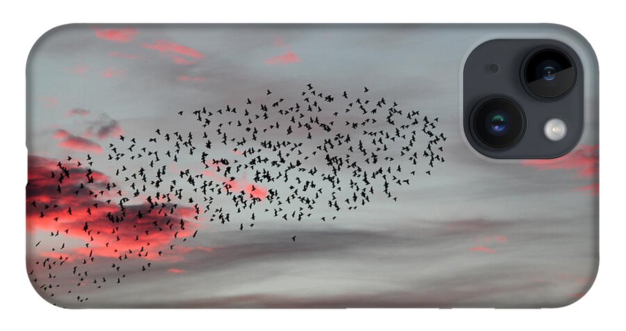 Abstract Photography iPhone 14 Case featuring the photograph Morning Stretch by E Faithe Lester