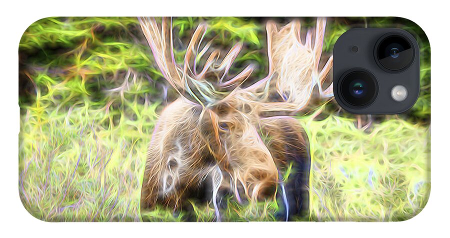 North America Moose iPhone Case featuring the photograph Moose Glow by James BO Insogna