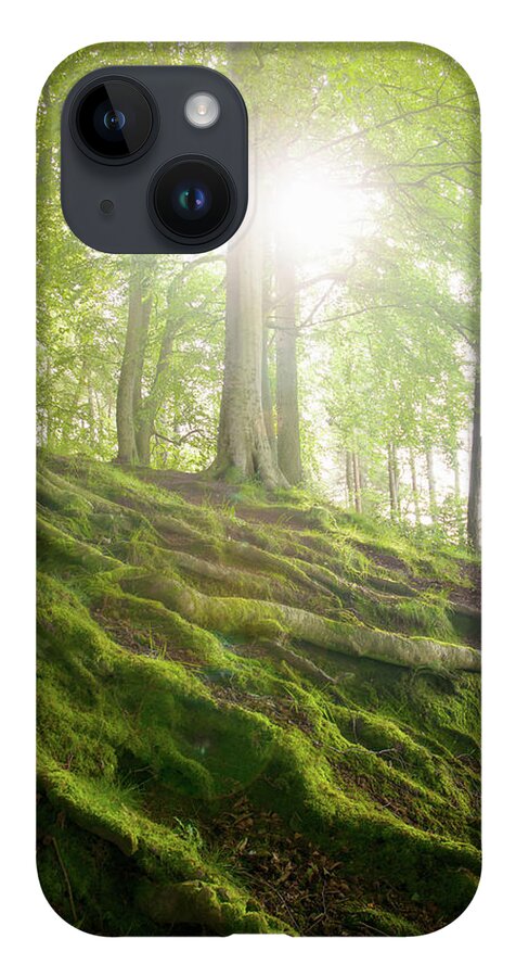 Tranquility iPhone 14 Case featuring the photograph Mossy Tree Roots On Forest Hillside by Matt Walford