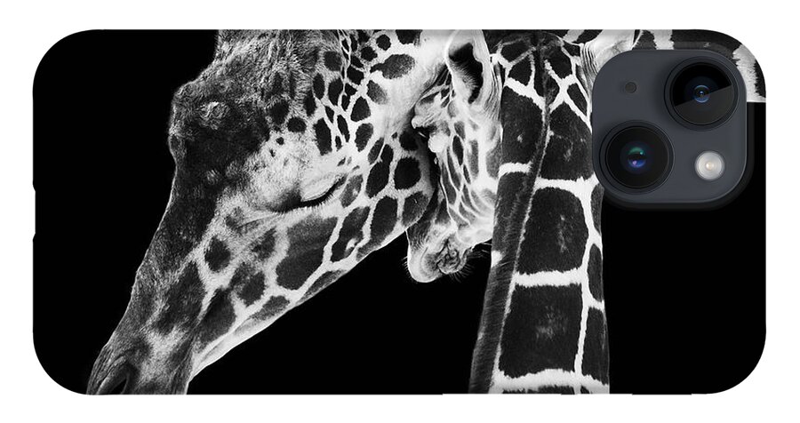 3scape Photos iPhone Case featuring the photograph Mother and Baby Giraffe by Adam Romanowicz