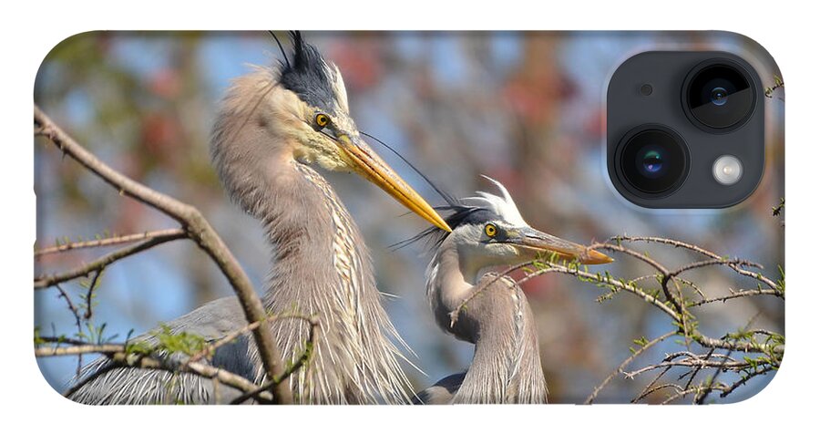 Heron iPhone 14 Case featuring the photograph Mr. And Mrs. by Kathy Baccari