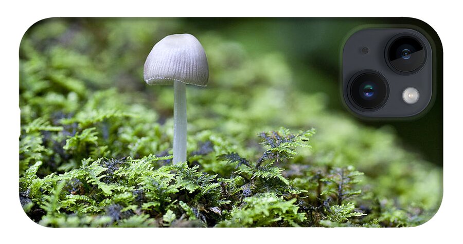 Ridgeway iPhone 14 Case featuring the photograph Mushroom by Steven Ralser