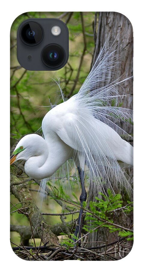 Egret iPhone 14 Case featuring the photograph My Beautiful Plumage by Kathy Baccari