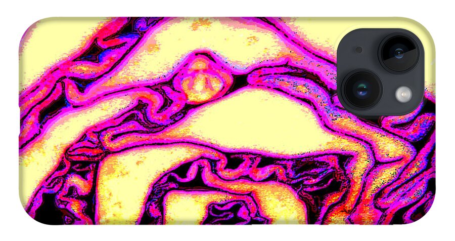 Cabbage iPhone 14 Case featuring the digital art My Cabbage Brain by John Lautermilch