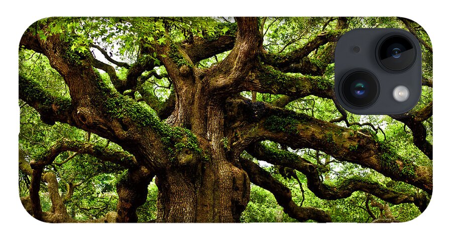  Johns Island iPhone 14 Case featuring the photograph Mystical Angel Oak Tree by Louis Dallara