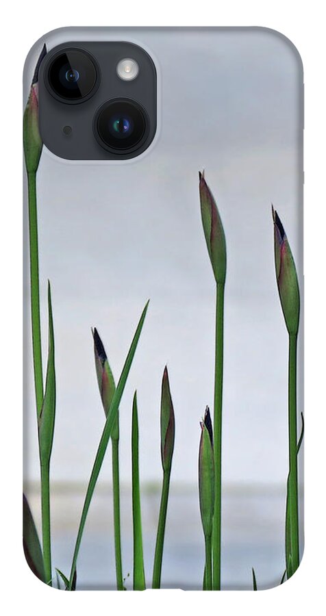 Minimal iPhone Case featuring the photograph Nature's Grace by Deborah Smith